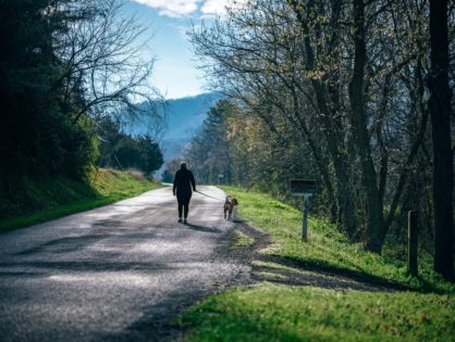 Walking the new hiking trend with your dog and a pint of beer
